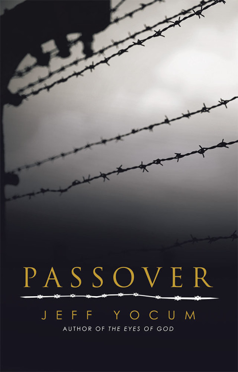 Cover image for book Passover