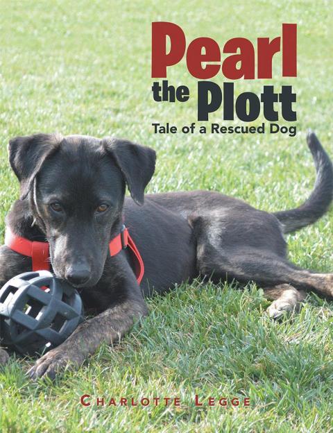 Cover image for book Pearl the Plott