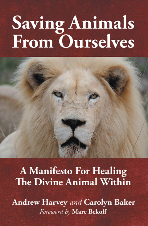 Cover image for book Saving Animals from Ourselves