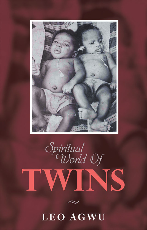 Cover image for book Spiritual World of Twins