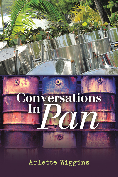 Cover image for book Conversations in Pan