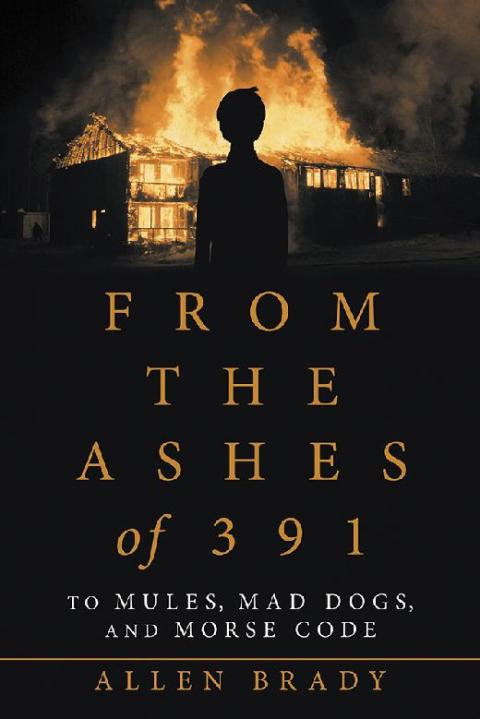 Cover image for book From the Ashes of 391