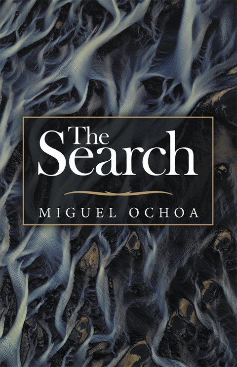 Cover image for book The Search