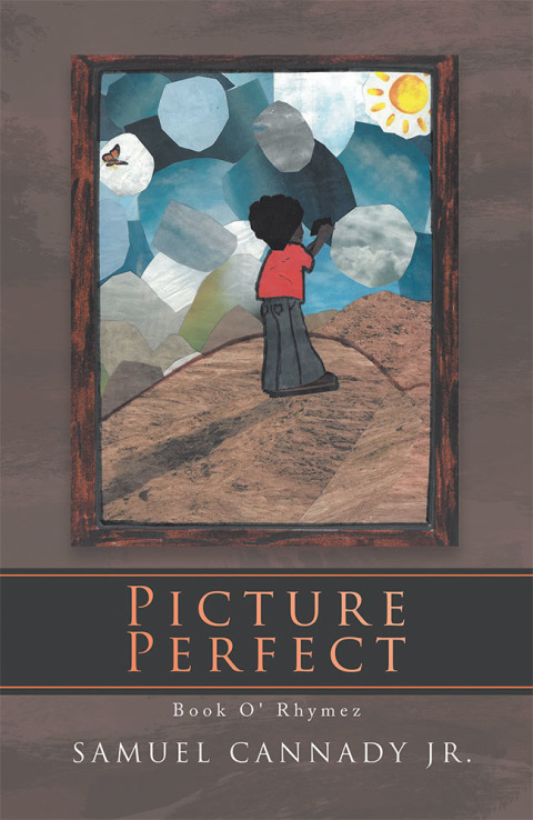 Cover image for book Picture Perfect