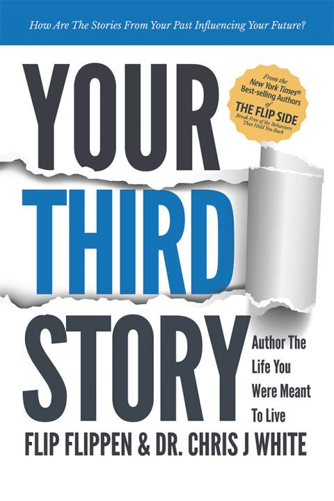 Cover image for book Your Third Story
