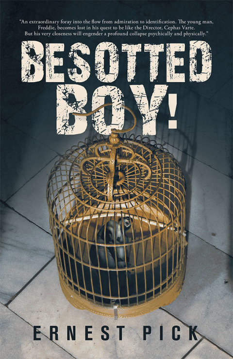 Cover image for book Besotted Boy!