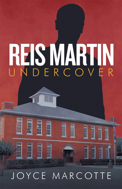 Cover image for book Reis Martin Undercover