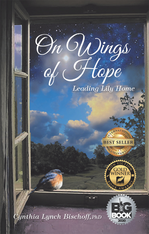 Cover image for book On Wings of Hope