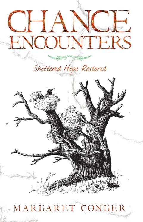 Cover image for book Chance Encounters