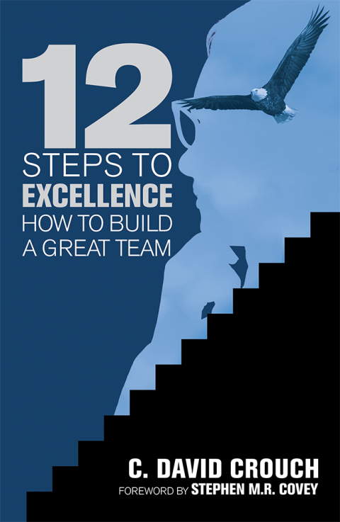 Cover image for book 12 Steps to Excellence