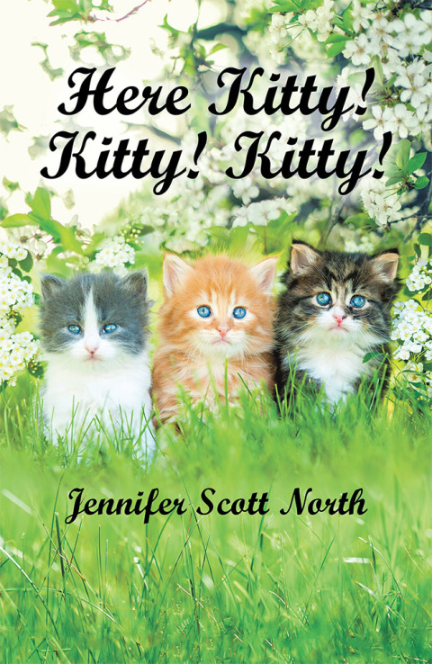 Cover image for book Here, Kitty! Kitty! Kitty!