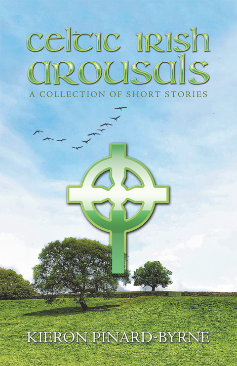 Cover image for book Celtic Irish Arousals
