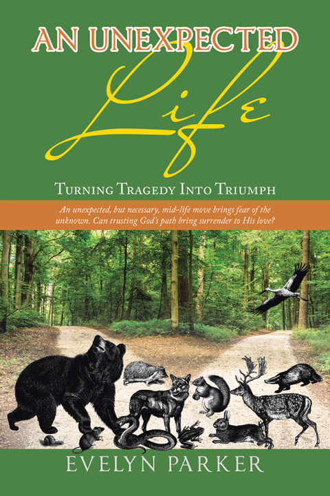 Cover image for book An Unexpected Life