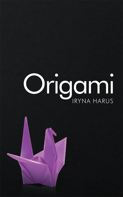 Cover image for book Origami