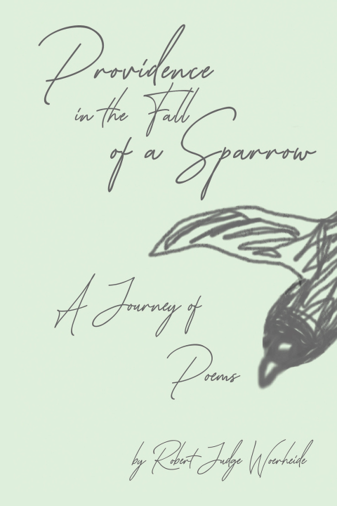 Cover image for book Providence in the Fall of a Sparrow