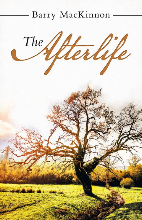 Cover image for book The Afterlife