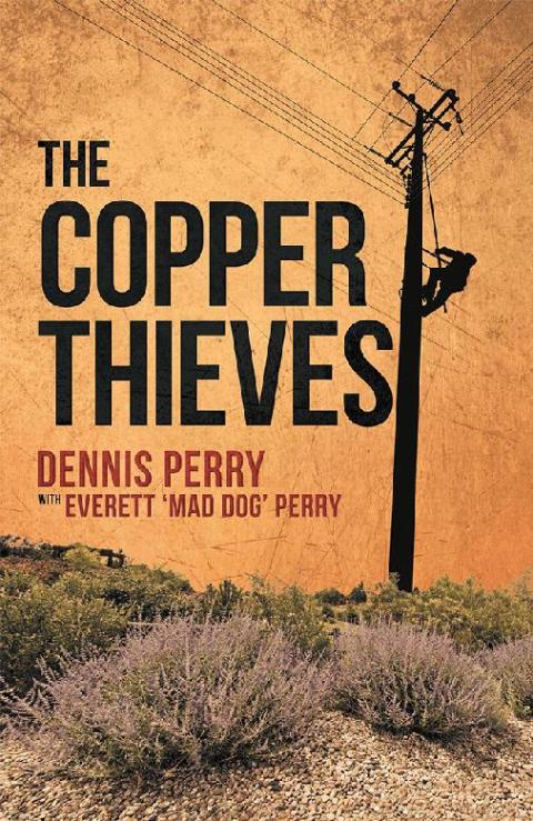 Cover image for book The Copper Thieves