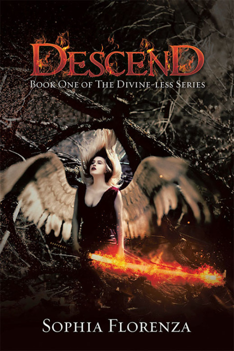 Cover image for book Descend