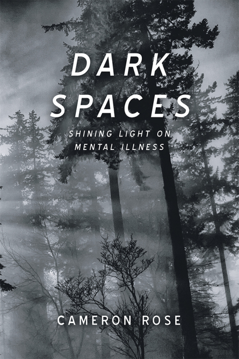 Cover image for book Dark Spaces