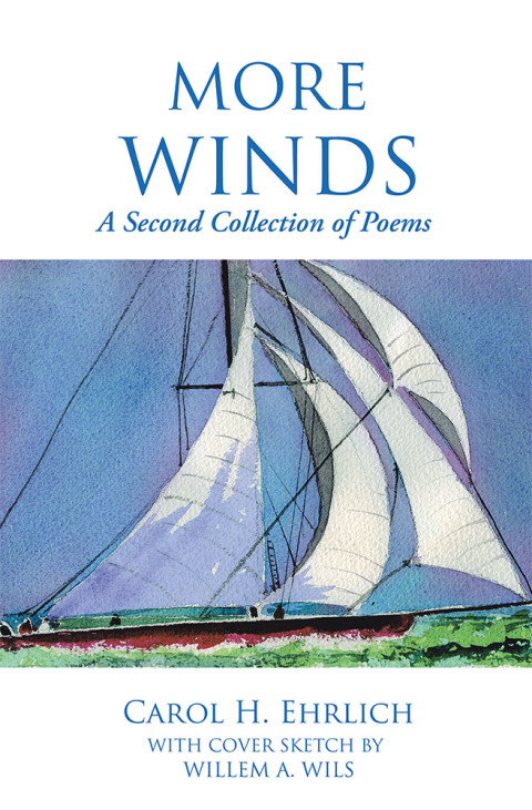 Cover image for book More Winds