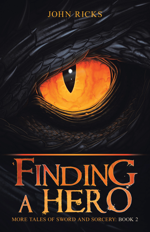 Cover image for book Finding a Hero