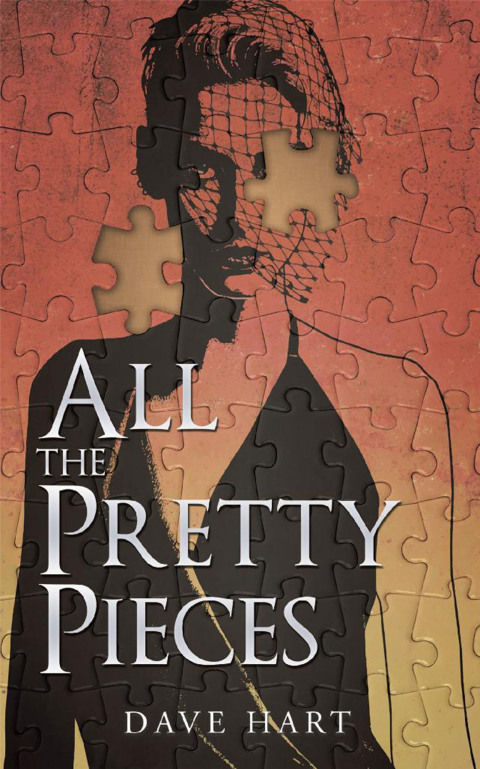 Cover image for book All the Pretty Pieces
