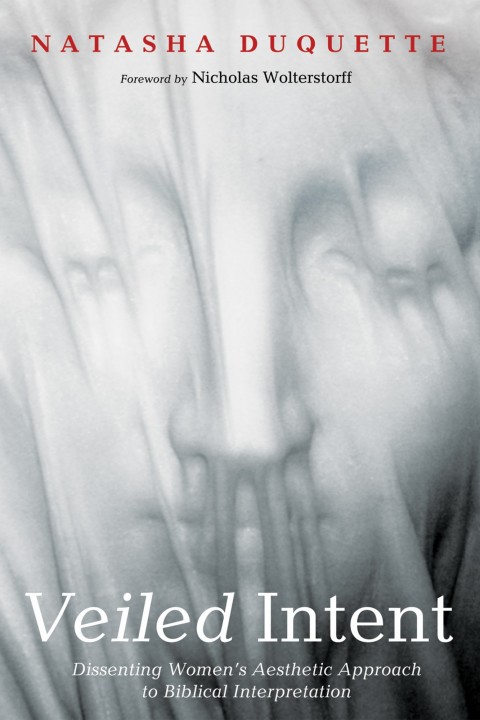 Cover image for book Veiled Intent