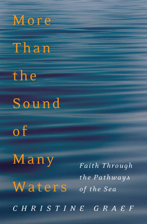 Cover image for book More Than the Sound of Many Waters