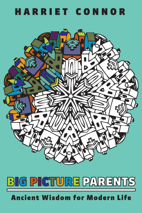 Cover image for book Big Picture Parents