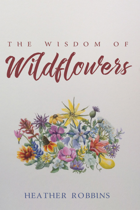 Cover image for book The Wisdom of Wildflowers