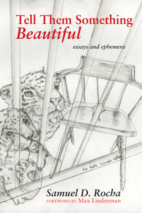 Cover image for book Tell Them Something Beautiful