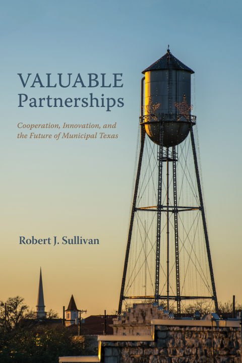 Cover image for book Valuable Partnerships