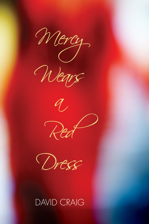 Cover image for book Mercy Wears a Red Dress