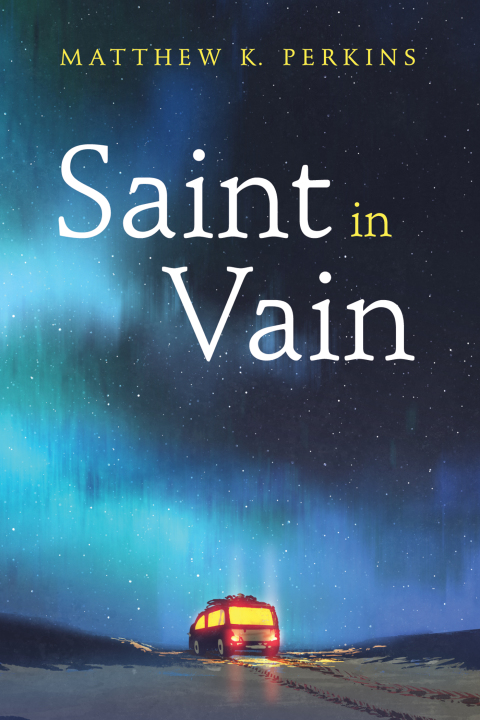 Cover image for book Saint in Vain