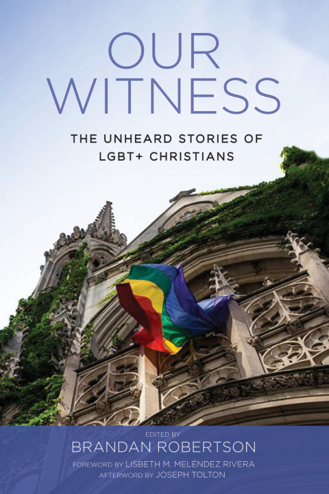 Cover image for book Our Witness