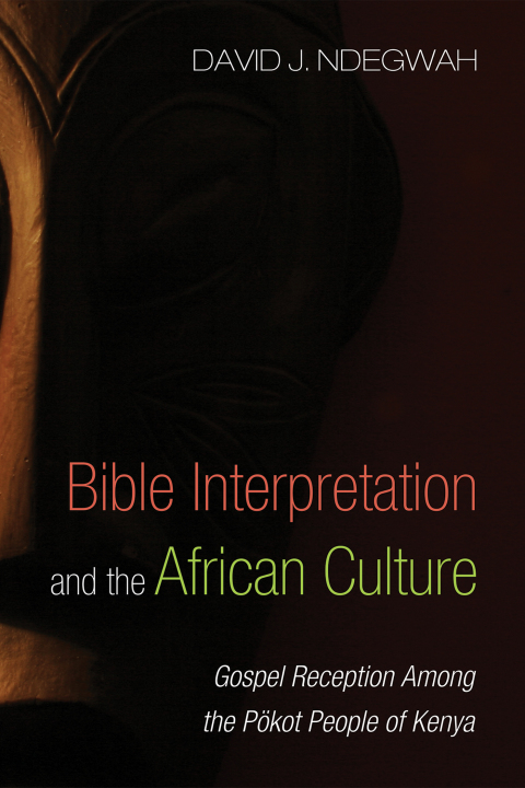 Cover image for book Bible Interpretation and the African Culture