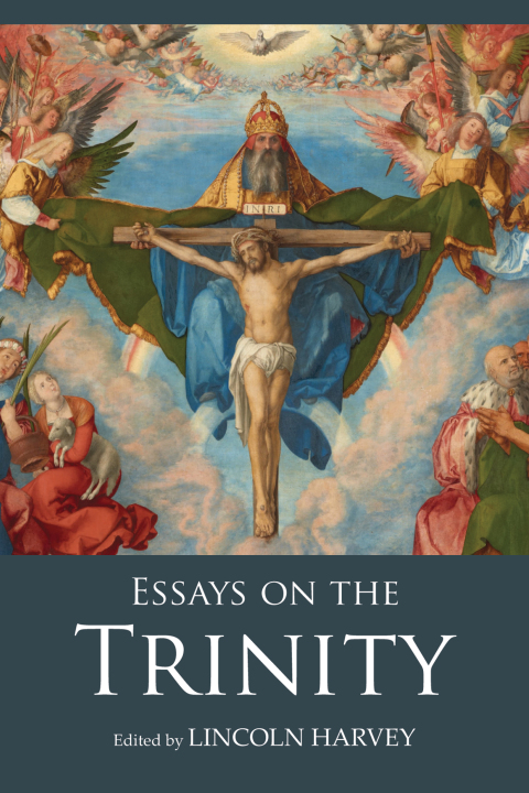 Cover image for book Essays on the Trinity