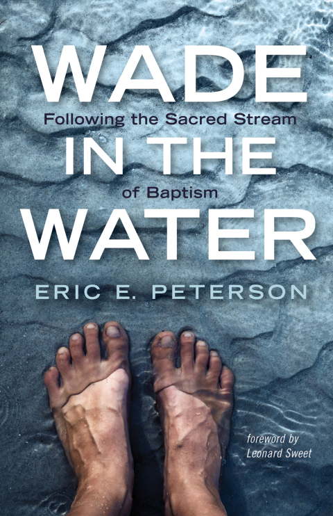Cover image for book Wade in the Water