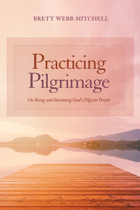 Cover image for book Practicing Pilgrimage