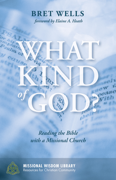 Cover image for book What Kind of God?
