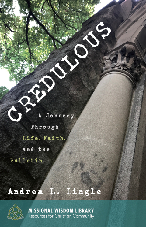 Cover image for book Credulous