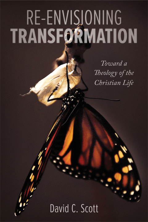 Cover image for book Re-Envisioning Transformation