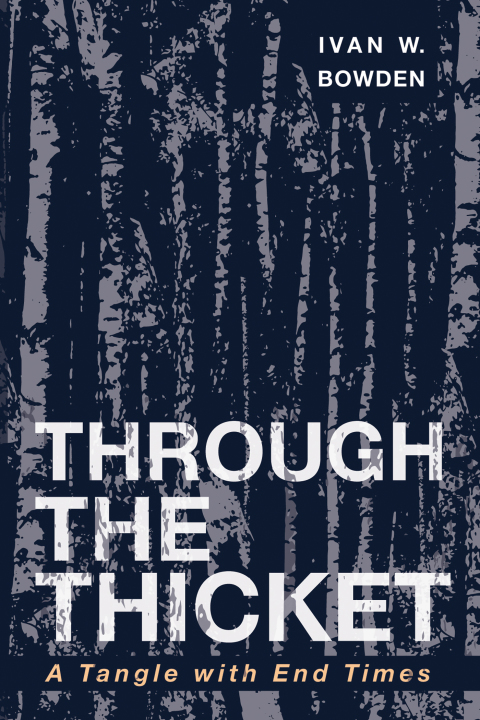 Cover image for book Through the Thicket