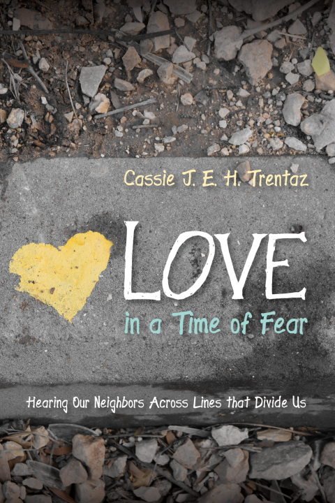 Cover image for book Love in a Time of Fear