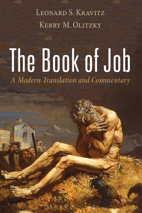 Cover image for book The Book of Job