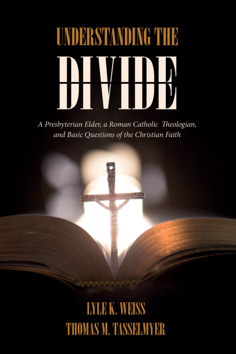 Cover image for book Understanding the Divide
