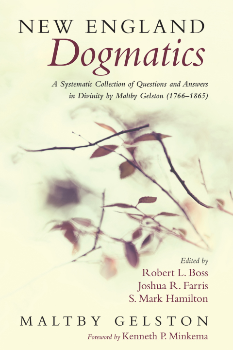 Cover image for book New England Dogmatics