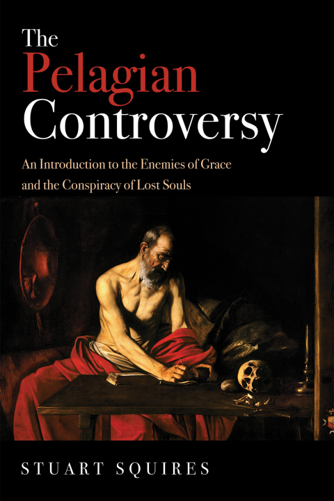 Cover image for book The Pelagian Controversy
