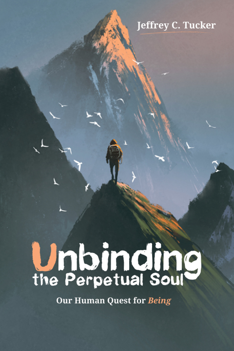 Cover image for book Unbinding the Perpetual Soul