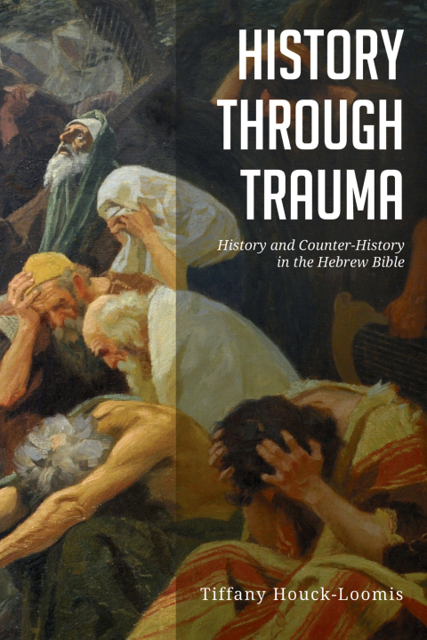Cover image for book History through Trauma
